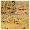 ET, UFO, UFOs, sighting, sightings, alien, aliens, rat, lizard, rodent, Mars, Rover, curiosity, May, 2013, life, biology, news, discovery, Top Secret, NASA, classified, information, hackers, black hat,