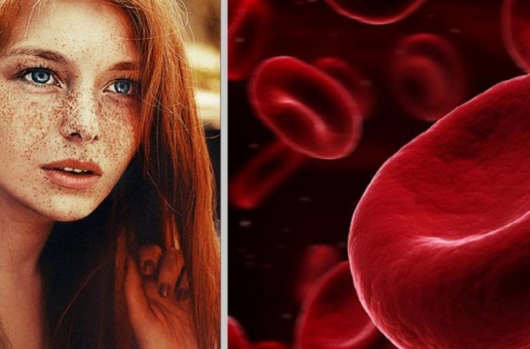 rh o negative blood type personality