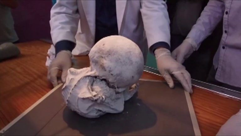 New DNA Evidence Nazca Humanoid Specimens are Real