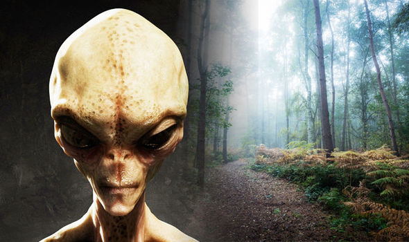 Proof of Aliens? What is the Rendlesham Forest Incident?