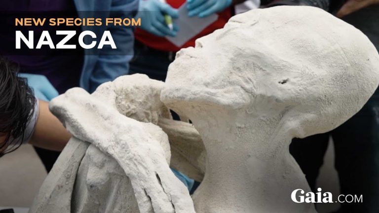 Three-Fingered ‘Mummified Creatures’ Found With Elongated Skulls in Peru Are Aliens, Claims Controversial Russian Scientist