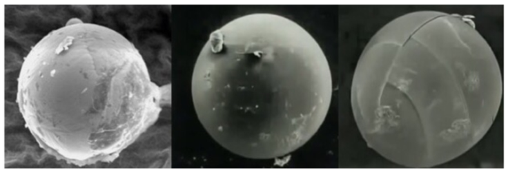 Astrobiologist Says We’ve Discovered Proof Aliens Are Seeding New Life on Earth With Space Bacteria