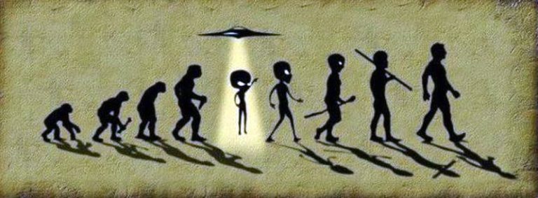 Humans Are Alien Hybrids