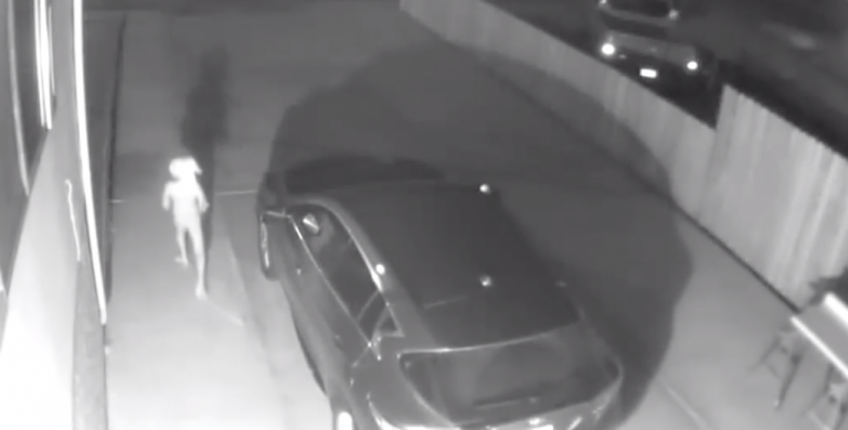 Security Camera Captures Bizarre Scene in Colorado Springs