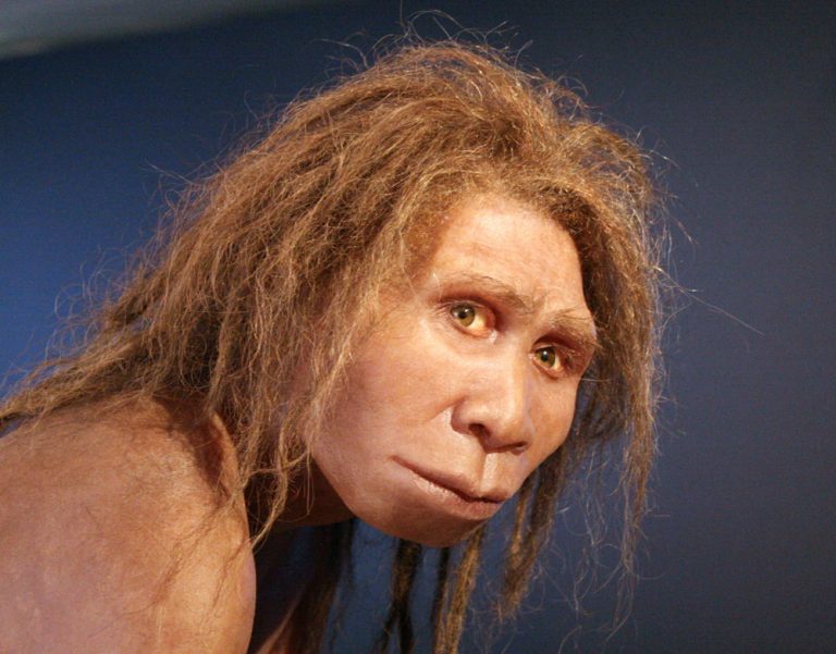 Are Humans a Genetic Accident?