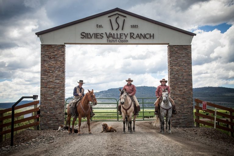 Mystery Deaths of Bulls in Oregon Spark Range of Theories