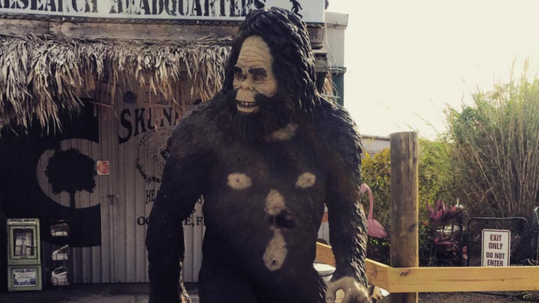 A Lot of You Believe in Bigfoot