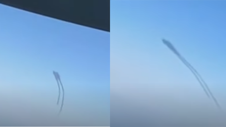 Strange Creature Filmed From Window Of Airplane