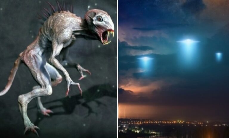 Small Aliens from Spaceships Regularly Visit a Bolivian City